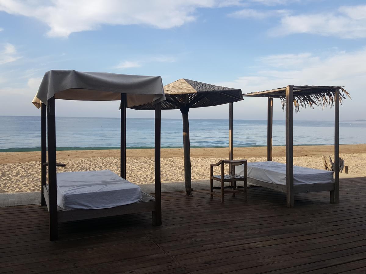 El Papalote Ecologico Hotell Borrego Exteriör bild